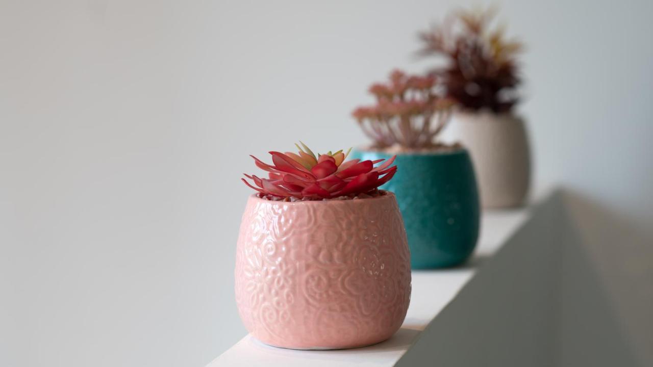 La Capeyronnaise - Maison Cosy - Jardin Mérignac Eksteriør billede